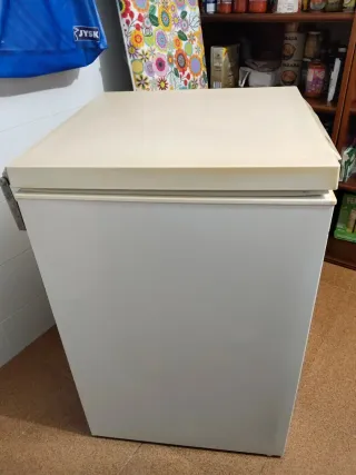 Arcón Congelador Zanussi Compact