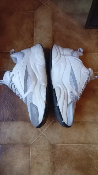 Zapatillas Dior Blancas y Grises