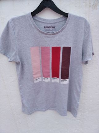 Blusa Pantone Gris con Diseño Rosa