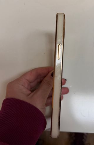 Funda iPhone 12 Transparente Dorada