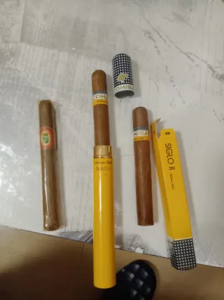 Cohiba Siglo V y La Flor de la Isabela