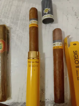 Cohiba Siglo V y La Flor de la Isabela