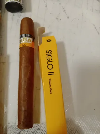 Cohiba Siglo V y La Flor de la Isabela