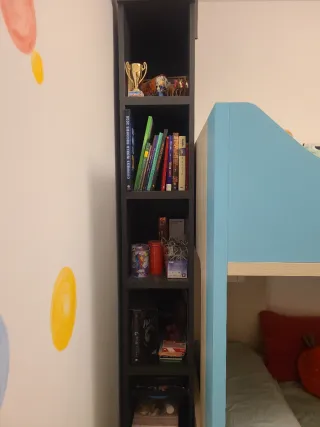 Habitación juvenil litera