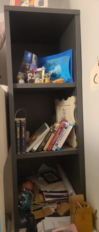 Habitación juvenil litera