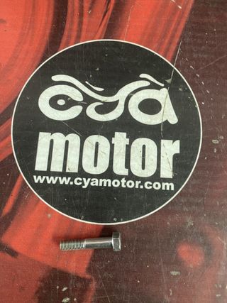 Tornillo PIAGGIO, Ref RS00018525