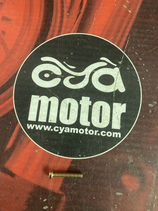 Tornillo PIAGGIO, Ref 030251
