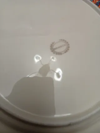 Plato Bidasoa Ave del Paraíso