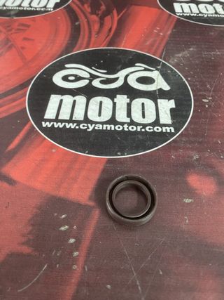 Anillo junta PIAGGIO, Ref 485974