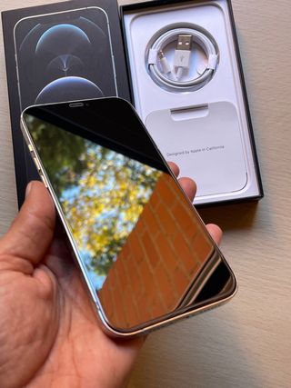 iPhone 12 Pro Max 256Gb ( sin Face ID ) OFERTON