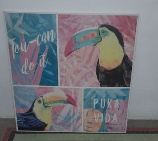 Cuadro Tucanes Pura Vida