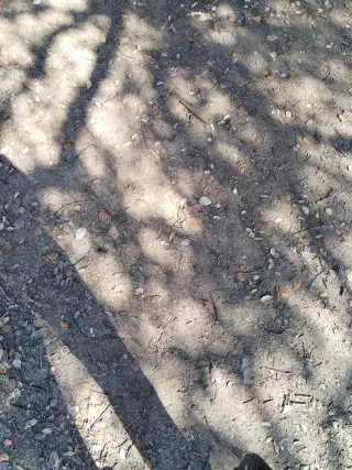 Bicicleta infantil B'TWIN roja