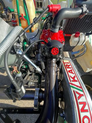 Motor Rotax Max Evo Senior 125cc Completo