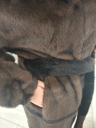 Ecopelliccia lunga marrone con cappuccio