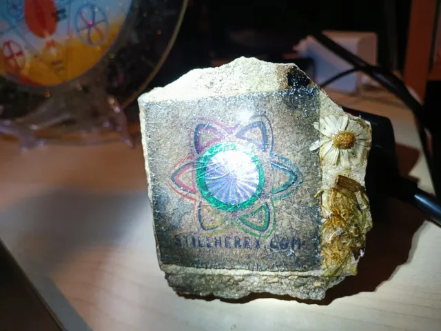 Ladrillo con flor y holograma