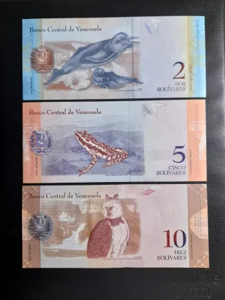🇻🇪 Billetes Venezuela