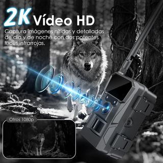 Cámara Celular 4G WOLFANG WT07 Pro