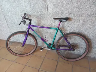 Bicicleta Alpinestars Mega