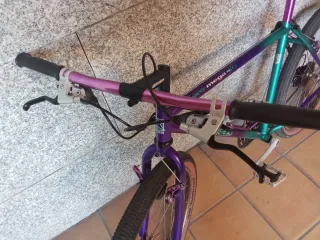 Bicicleta Alpinestars Mega