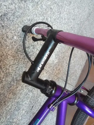 Bicicleta Alpinestars Mega