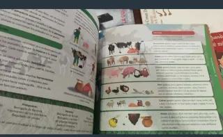 Colección Trazos sin estrenar
