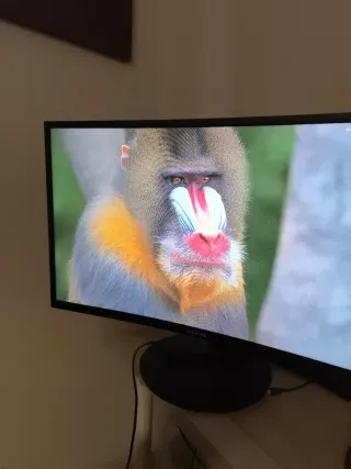 Monitor Curvo Samsung 27 C27FG70FQ