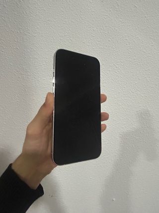 iPhone 12 Pro Max 256GB Argento