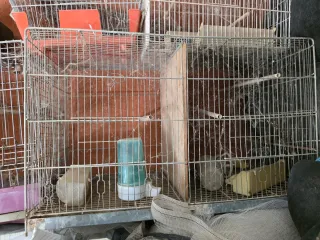 Jaula para pájaros 60cm