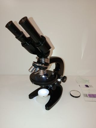 Microscopio Binocular Carl Zeiss