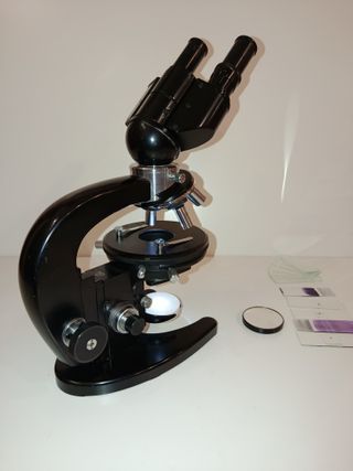 Microscopio Binocular Carl Zeiss