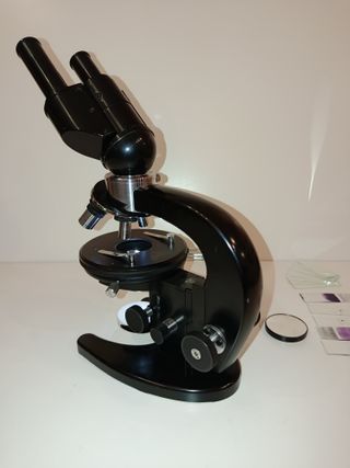 Microscopio Binocular Carl Zeiss