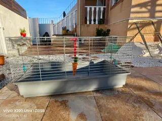 Jaula para cobayas o conejos
