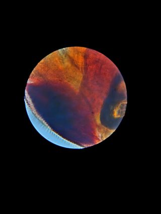 Microscopio PIERRON XSP-02