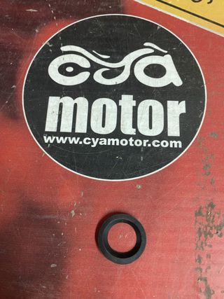 Arandela para Piaggio, Ref 975800