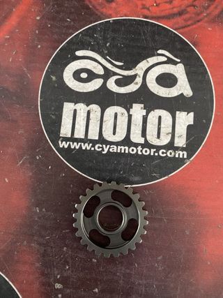 Engranaje PIAGGIO, Ref 847156