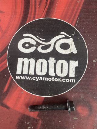 Tornillo PIAGGIO, Ref 563730