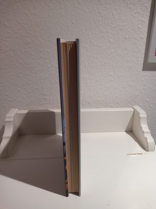 Un viaje a tierra Santa de COVADONGA O SHEA