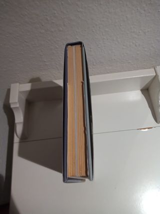 Un viaje a tierra Santa de COVADONGA O SHEA