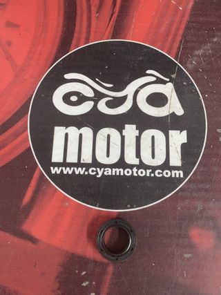 Anillo PIAGGIO, Ref 2892763