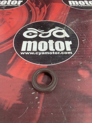 Anillo PIAGGIO, Ref 825238