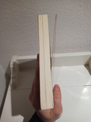 Jesus Y Los Manuscritos Del Mar Muerto/jesus An...