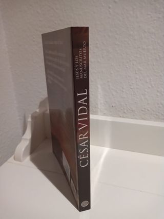 Jesus Y Los Manuscritos Del Mar Muerto/jesus An...