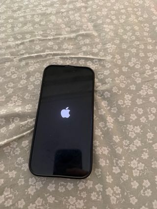 iPhone 14 Pro Max Negro