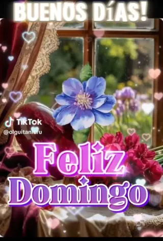 Lote 2 sudaderas Fila S