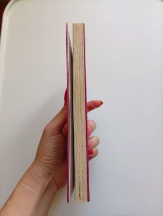 Manga,El puño de la estrella del norte vol1