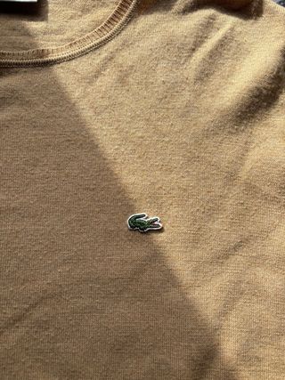 Jersey Lacoste Beige