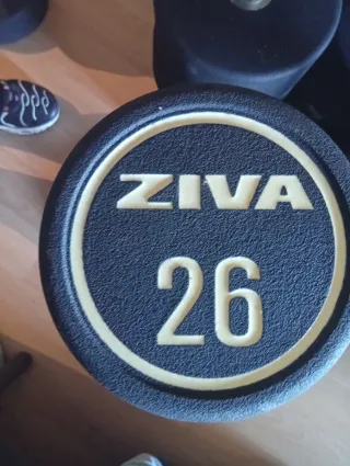 Mancuernas ZIVA (22-40 kg)