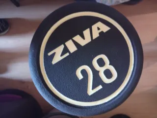 Mancuernas ZIVA (22-40 kg)