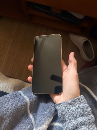 iPhone 12 Pro Max 256 GB Argento