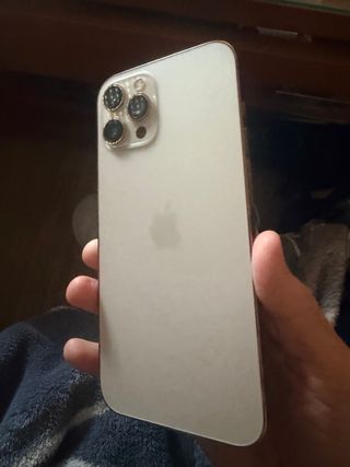 iPhone 12 Pro Max 256 GB Argento